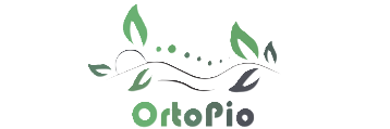 OrtoPio